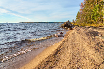                        Sandy beach on the shore of a lake on a sunlight. Natural background.