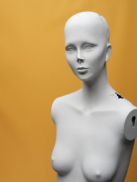 Mannequin without hands