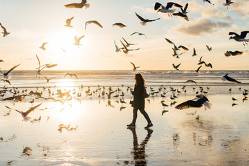 Woman walking at the beach full of seagulls at sunset, winter, Portugal