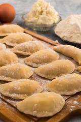 Fototapeta na wymiar Homemade dumplings of flour, cottage cheese and eggs, vertical photo.