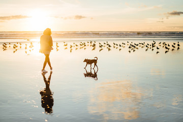 Woman and her dog walking at the beach