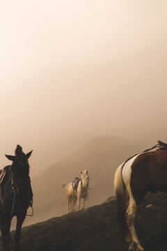 Horses in the fog at the base of a volcano