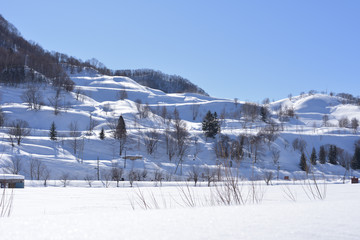 雪が降り積もった丘