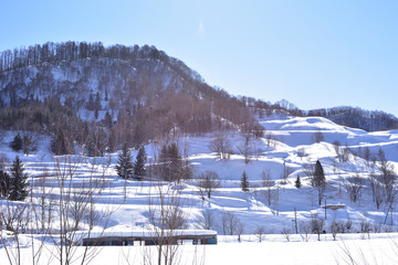 Fototapeta na wymiar 雪で覆われた丘