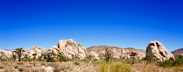 Joshua Tree National Park