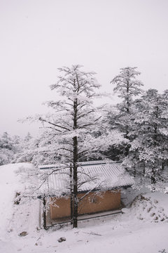 The Mount Emei after the heavy snow