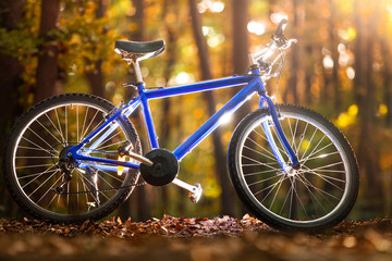 Blue bicycle in autumn forest