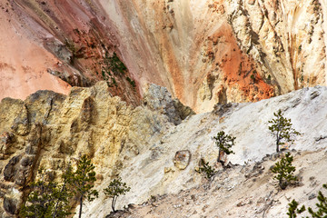 Yellowstone Canyon