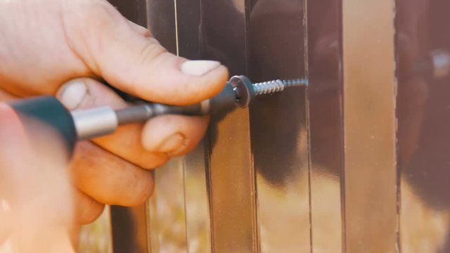 Hand screwdriver and screws cut into the iron sheet metal close view. Men's hands repairing fence