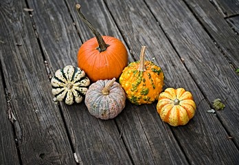 Colorful pumpkins on wooden background      