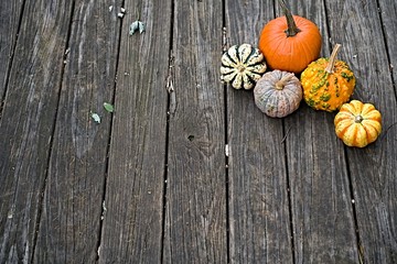 Colorful pumpkins on wooden background      