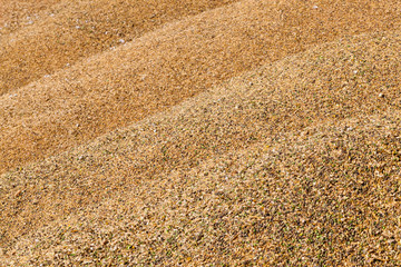 mixed crop grain