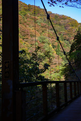 秋田県　秋の抱返り渓谷　吊り橋