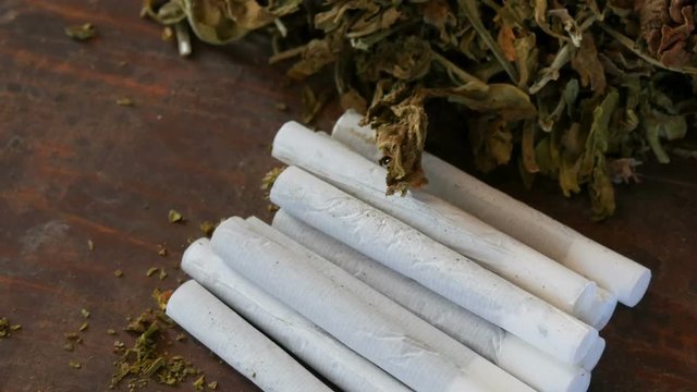 Filter homemade cigarettes or roll-up next to dry tobacco leaves stuffed with chopped tobacco