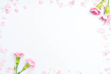 carnations flowers on a white