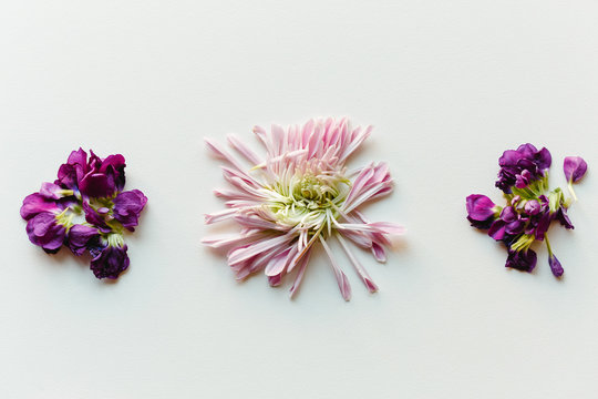 Close up of deconstructed flowers