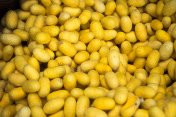 These are many silkworm (Bombyx Mori) cocoons. This is a natural source of silk before it's processed.Natural yellow cocoon or silkworm nets for background, a source of silk thread and silk fabric