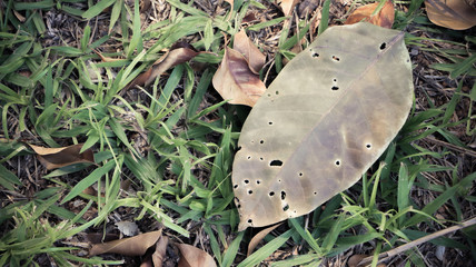 abstract arid brinks wook floor land 