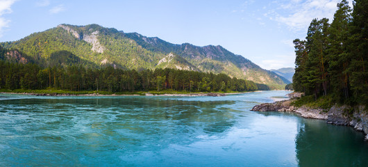 Panorama of the rapid river of Katun, Altai Republic, Russia