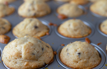 Front view of several freshly baked warm bite size chocolate chip muffins in a mini muffin baking pan with the first two in focus.
