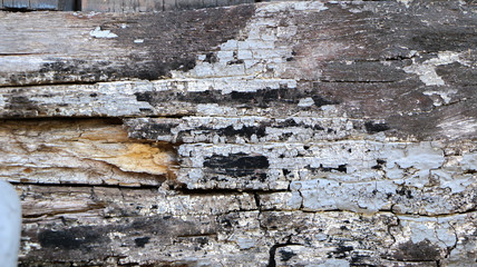 abstract arid brinks wook floor land 