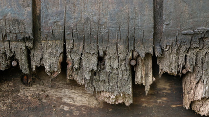 abstract arid brinks wook floor land 