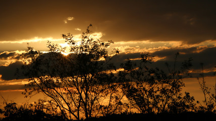 Sunset florest sun place gr