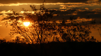 Sunset florest sun place gr