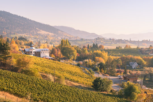 View Of Vineyards And Wineries On The Naramata Bench At Sunset In Autumn