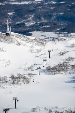 Gondola and trees in ski field