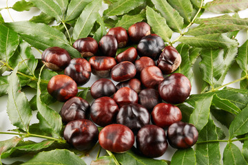 Many peeled chestnuts lie on green leaves