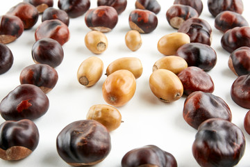 Many peeled chestnuts lie on white background