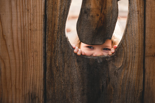 Peek a boo