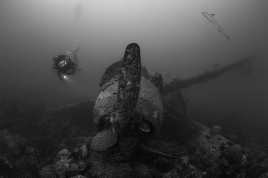 A female scuba diver exploring wreck of  Japanese fighter plane undersea
