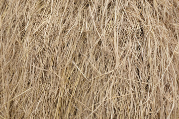 pile of straw background