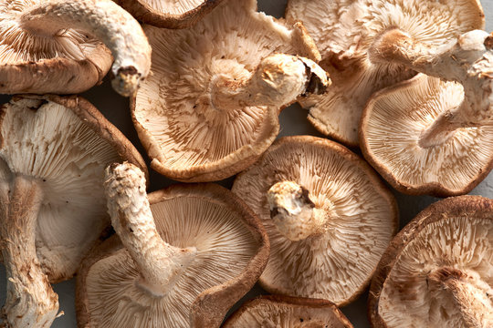 Wholesome Shiitake Mushrooms with Copy Space