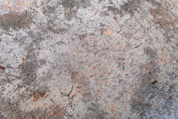 Grey grunge texture cement wall. copy space