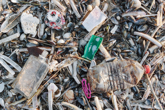 Washed up trash on a beach