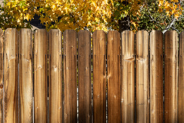 Rustic wooden fence background with yellow fall trees and copy space.