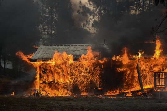 Wildland Fire
