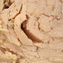 Very close view of canned solid white albacore tuna in olive oil.