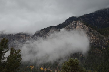 Mount Charleston October