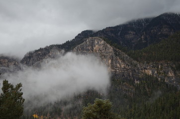 Mount Charleston October