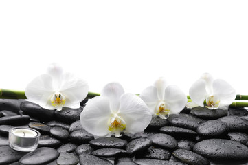 Obraz na płótnie Canvas spa concept –three orchid and bamboo grove , wet stones