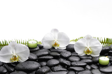 Fototapeta na wymiar Three orchid ,candle,fern on wet black background