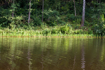 Obraz premium lake shore