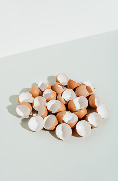 Egg shells