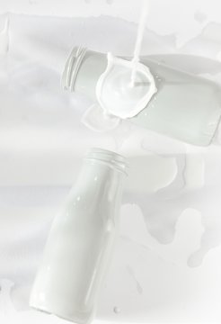 Splashed  milk