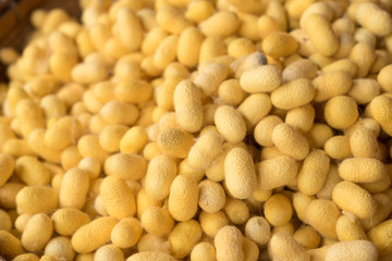 Closeup yellow cocoon prepare for making silk