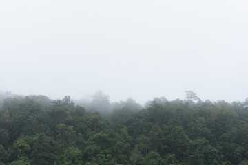 Obraz na płótnie Canvas Mountain and fog in the morning,Thailand